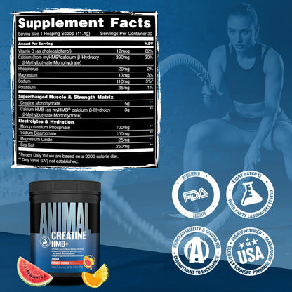 Animal Creatine HMB Powder – 3g myHMB + 5g Creatine with Electrolytes for Recovery & Daily Energy – Power Punch Flavor, 30 Servings