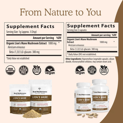 Real Mushrooms Lion’s Mane Powder - Organic Lions Mane Mushroom Extract Real MushroomsBuy Supplements Australia