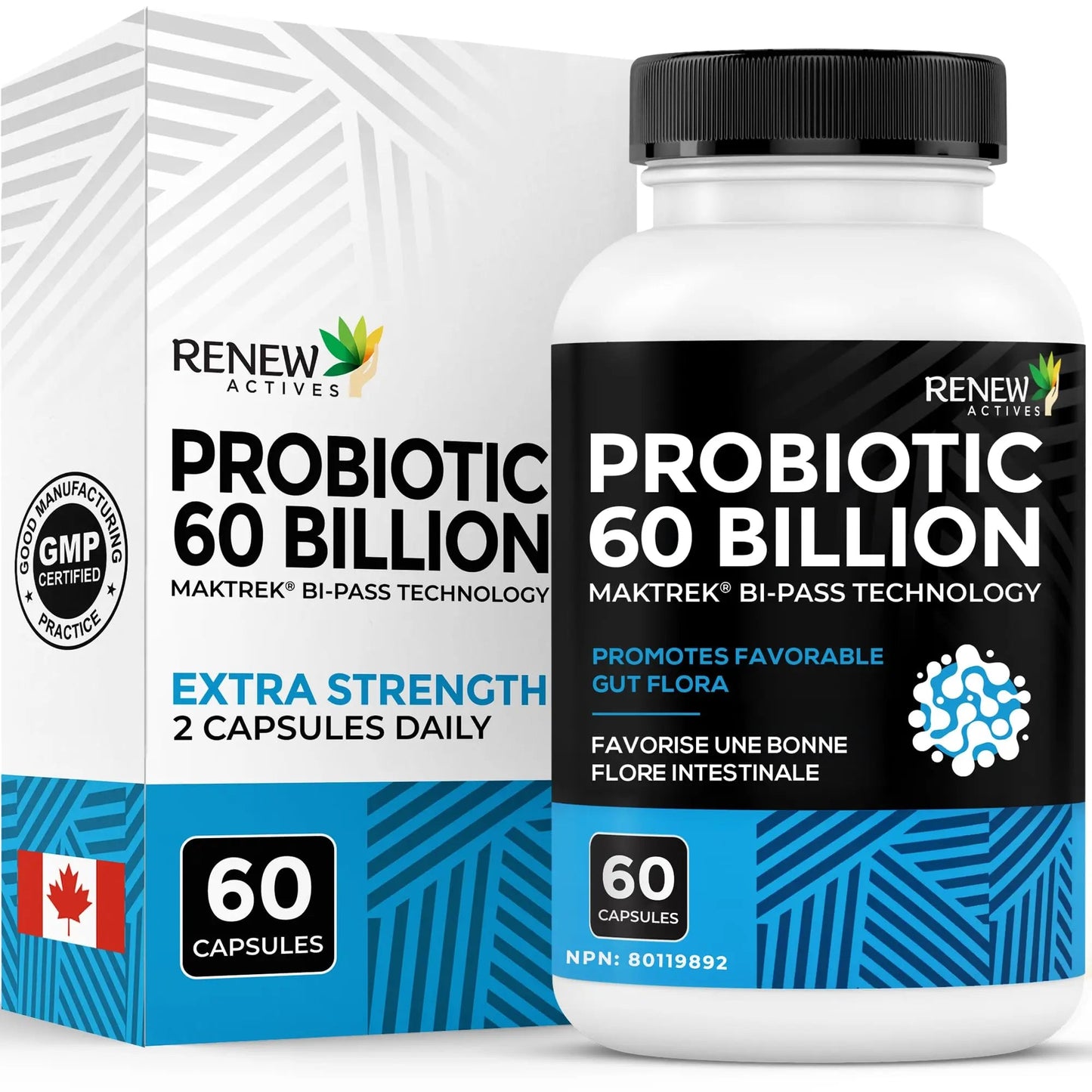 Renew Actives Probiotic Supplement for Digestive Health 60 Billion CFU per 2 Capsules - Advanced Formula with Prebiotic Benefits - Supports Gut Flora Balance & Wellness - Made in Canada - 60 Capsules Renew ActivesBuy Supplements Australia