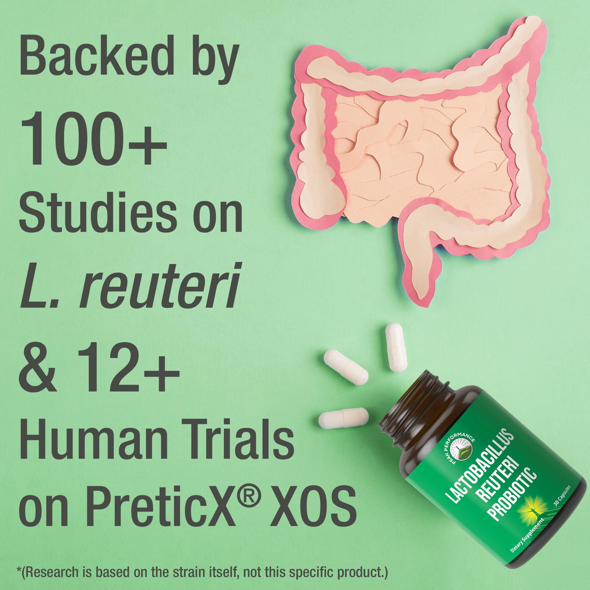 Lactobacillus Reuteri 50 Billion CFU Probiotics with Clinically Studied PreticX® XOS Prebiotic. L Reuteri Probiotic Capsules Supplement for Gut Health and Digestive Support. for Both Women & Men Peak PerformanceBuy Supplements Australia