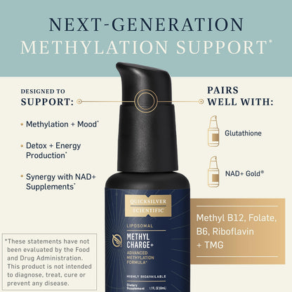 Quicksilver Scientific Methyl Charge - Methylation, Liver, Detox + Energy Supplement - Folate, Vitamin B12, Riboflavin, Vitamin B6 + TMG Supplement with Superior Absorption - Vegan B Vitamins (50ml) Quicksilver ScientificBuy Supplements Australia