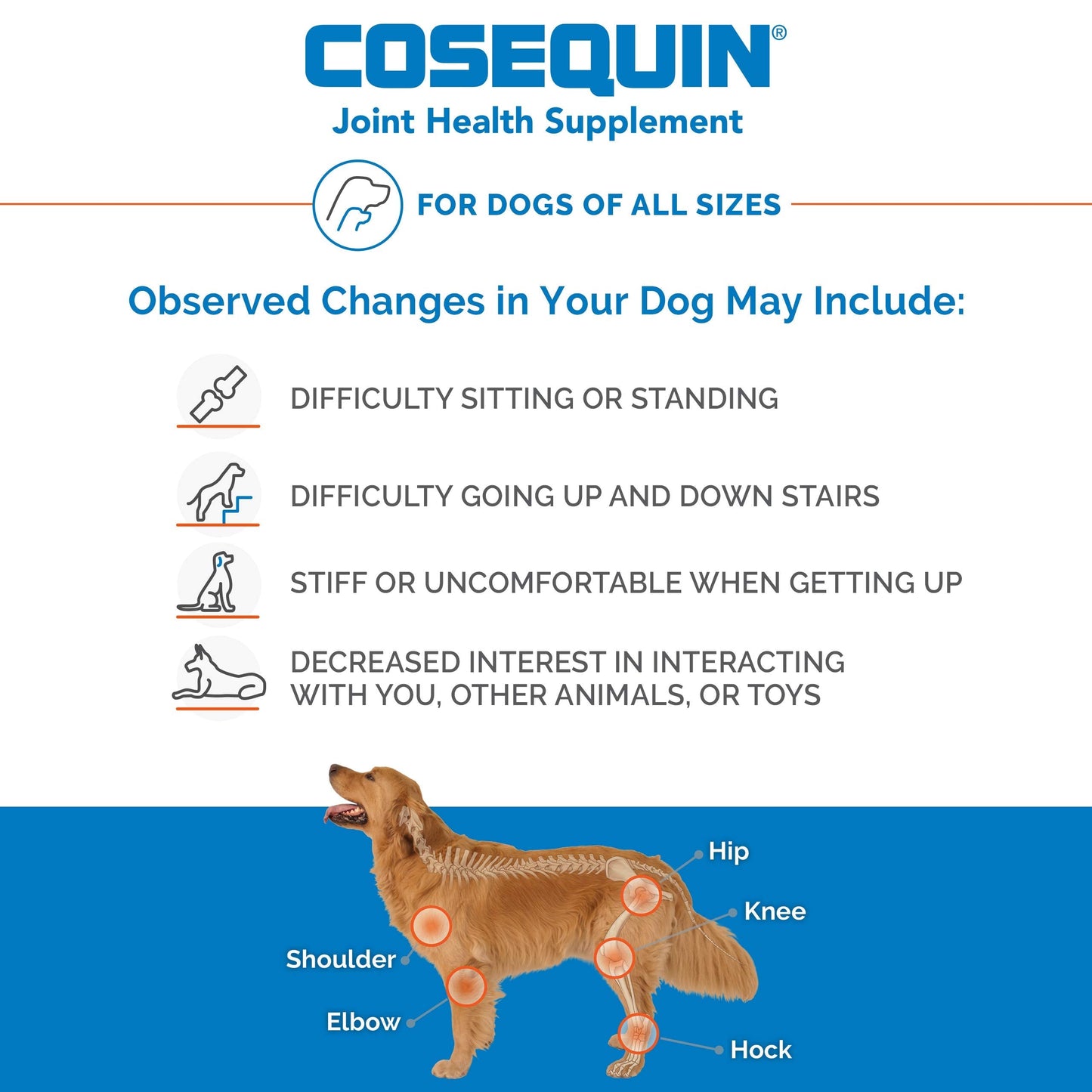 Nutramax Laboratories Cosequin Maximum Strength Joint Health Supplement for Dogs Nutramax LaboratoriesBuy Supplements Australia