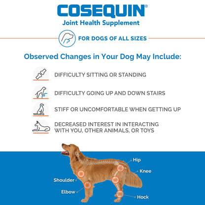 Nutramax Laboratories Cosequin Maximum Strength Joint Health Supplement for Dogs Nutramax LaboratoriesBuy Supplements Australia