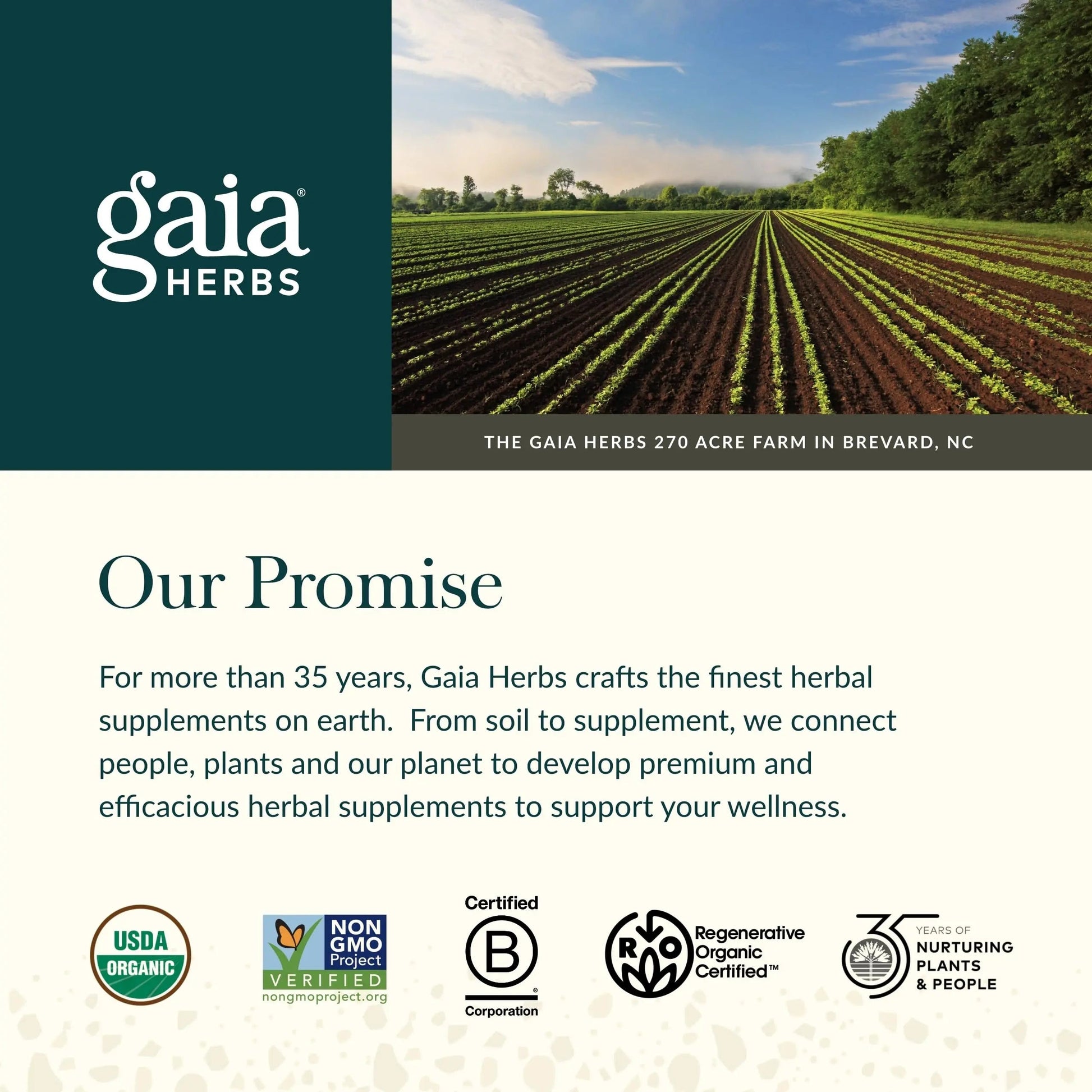 Gaia Herbs Ginger-Beet Postbiotic - Supplement for Gut & Heart Health Support* - Made with Fermented Beets & Ginger - Free from Dairy, Soy & Gluten - 60 Vegan Liquid Phyto-Caps (30 Servings) Gaia HerbsBuy Supplements Australia