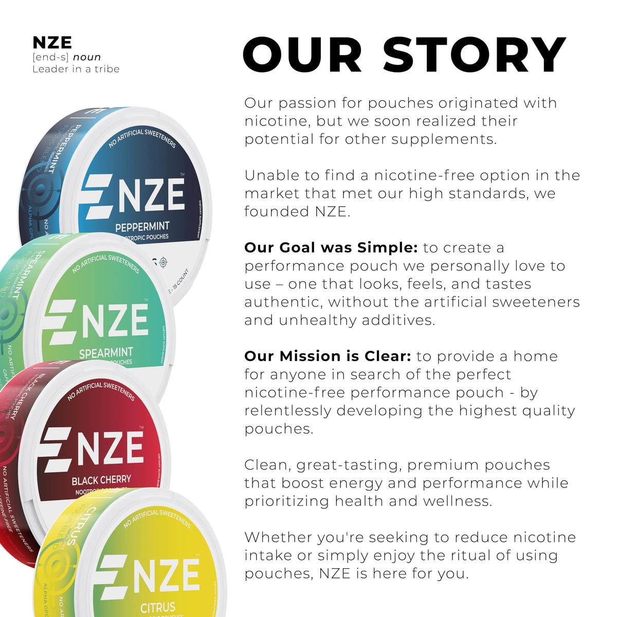 NZE Caffeine Free Nootropic Pouches (Wintergreen) - Nootropic Pouches with Alpha GPC, L-Tyrosine & L-Theanine - No Sugar or Artificial Sweeteners - 15 Pouches Per Can - 5 Pack NZEBuy Supplements Australia