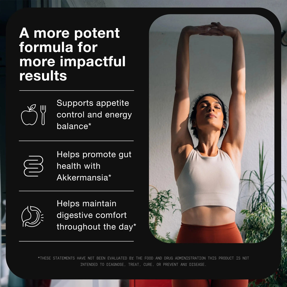 Toniiq GLP-1 Support — with Clinically Studied, Patented GlucoVantage® Dihydroberberine and Akkermansia — Appetite and Fullness Support — 120 Capsules (60-Day Supply) Toniiq buy supplements Au
