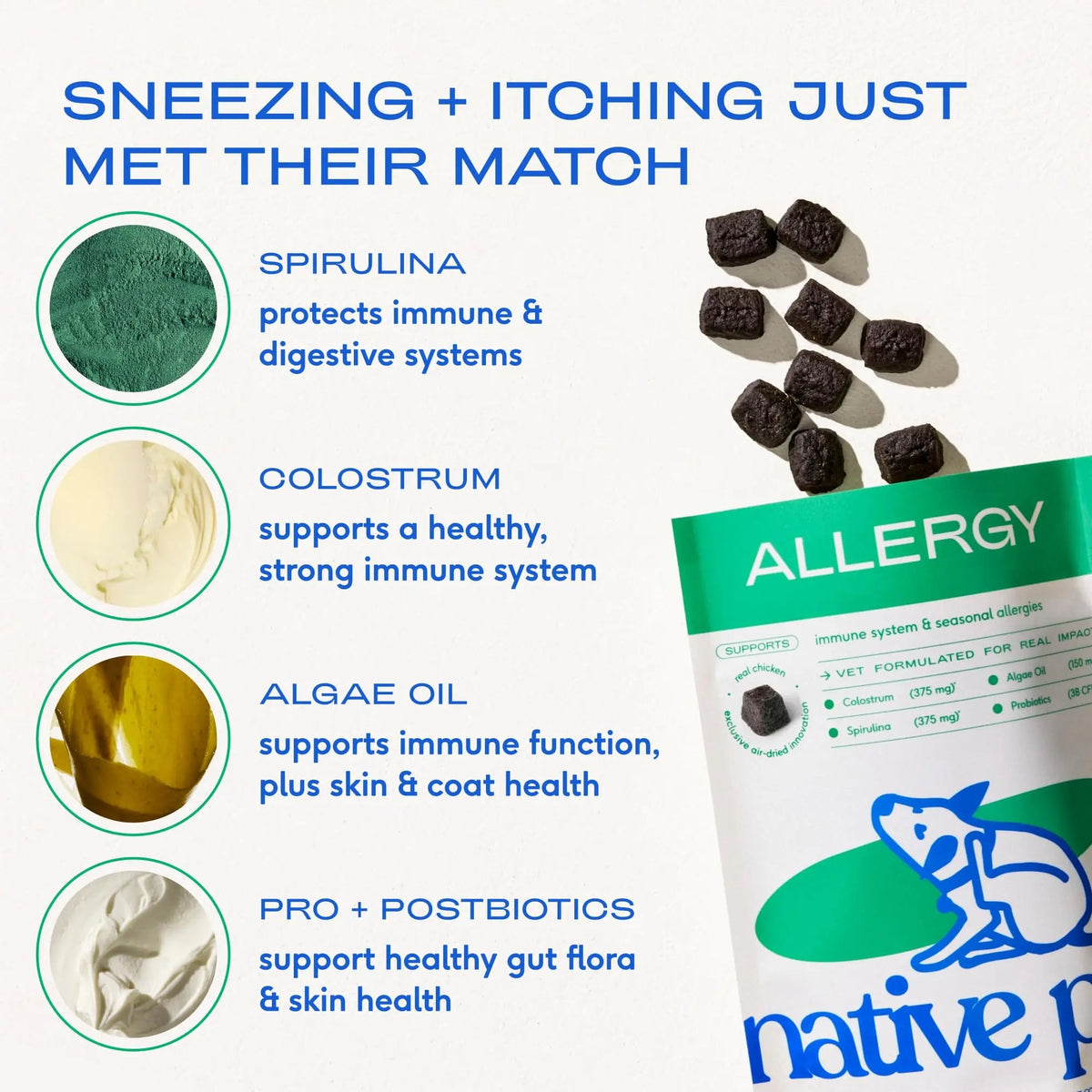 Native Pet Dog Allergy Chews - Dog Allergy Relief for Medium Breeds - Supports Seasonal Itch Relief, Healthy Immune Function & Reduces Sneezing - Colostrum, Spirulina, & Probiotics - 30 Days Supply Native PetBuy Supplements Australia