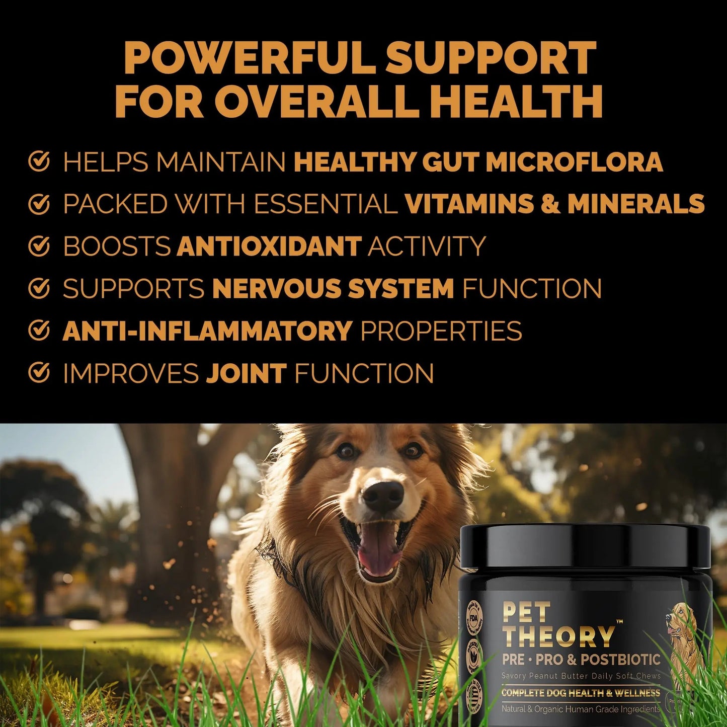 Pet Theory Probiotics for Dogs. Dog Digestive Health-Pre Pro and Postbiotic Combination-Pet Supplements for Gut Health-Supports Digestion, Boost Immunity-100CT Soft Chews Pet TheoryBuy Supplements Australia