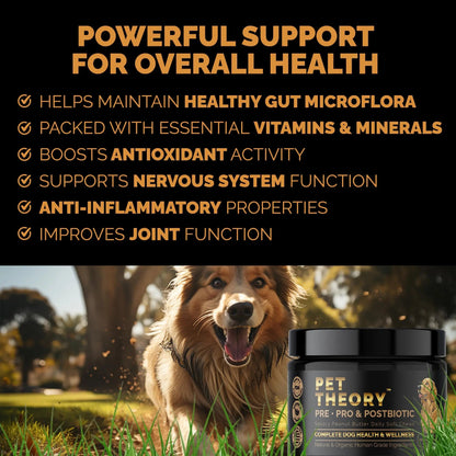 Pet Theory Probiotics for Dogs. Dog Digestive Health-Pre Pro and Postbiotic Combination-Pet Supplements for Gut Health-Supports Digestion, Boost Immunity-100CT Soft Chews Pet TheoryBuy Supplements Australia