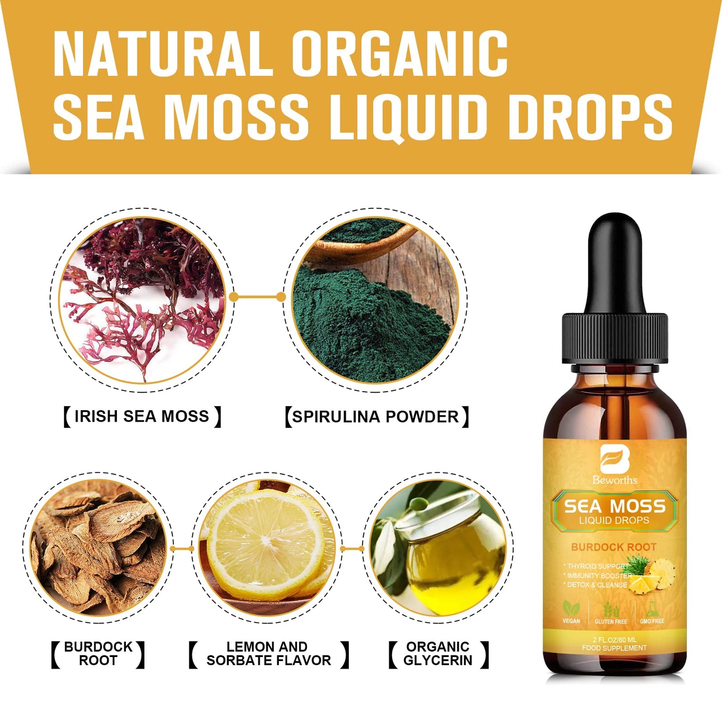 B BEWORTHS Sea Moss Liquid Drops - Organic Irish Sea Moss Gel with Burdock Root B BEWORTHSBuy Supplements Australia