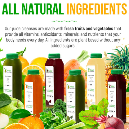Raw Fountain 1 Day Juice Cleanse, All Natural Detox Cleanse, Cold Presssed Fruit Raw FountainBuy Supplements Australia