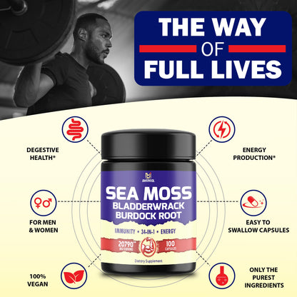 BMVINVOL 100 Capsules - Sea Moss Capsules 20790mg with Bladderwrack, Burdock BMVINVOLBuy Supplements Australia