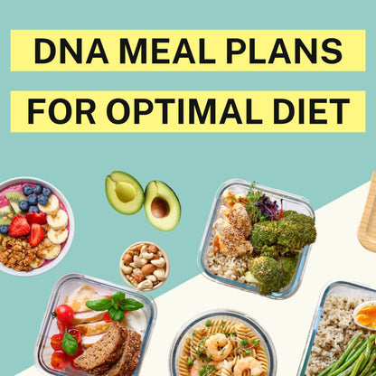 Genetic Methylation Test Kit & MTHFR Testing Kit | 300+ DNA Reports Including MTHFR Gene Variants, COMT, BHMT, AHCY and Folate | Custom Supplement & Meal Plan Recommendations with 10,000 Recipes PlexusDXBuy Supplements Australia