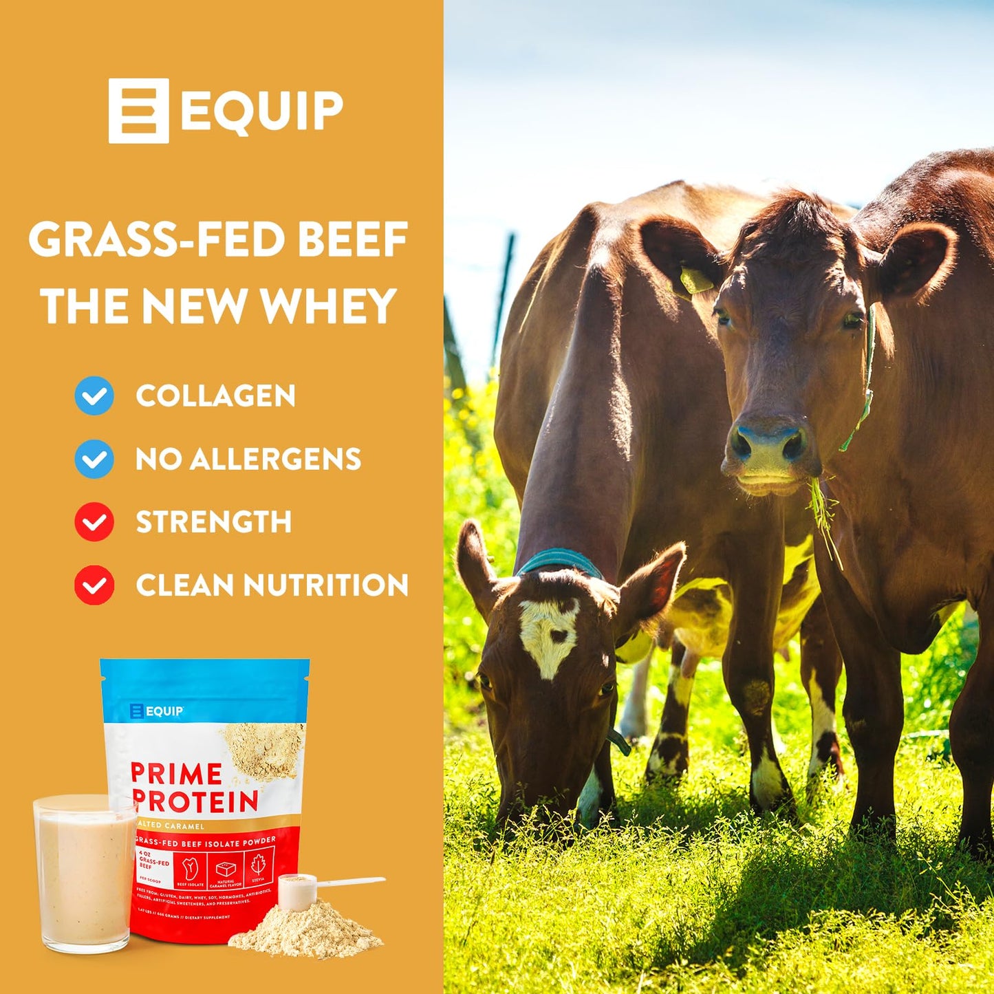 Equip Foods Prime Protein - Grass Fed Beef Protein Powder Isolate - Paleo and Keto EquipBuy Supplements Australia