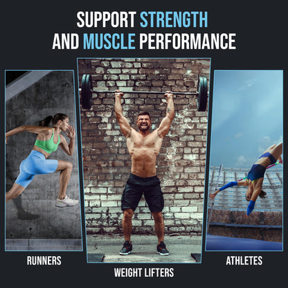 NHHS Micronized Creatine Monohydrate – Supports Strength & Muscle Performance | Ultra-Pure, Unflavored, 60 Servings, 300 Grams – Made in USA, Gluten-Free, Non-GMO NHHSBuy Supplements Australia