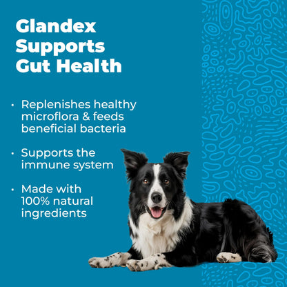 Vetnique Glandex Daily Probiotics for Dogs with Prebiotics to Support Gut Health with Fiber and Digestive Enzymes, Dog Probiotic Chews or Powders (30ct Chews, Bacon Chews) VetniqueBuy Supplements Australia