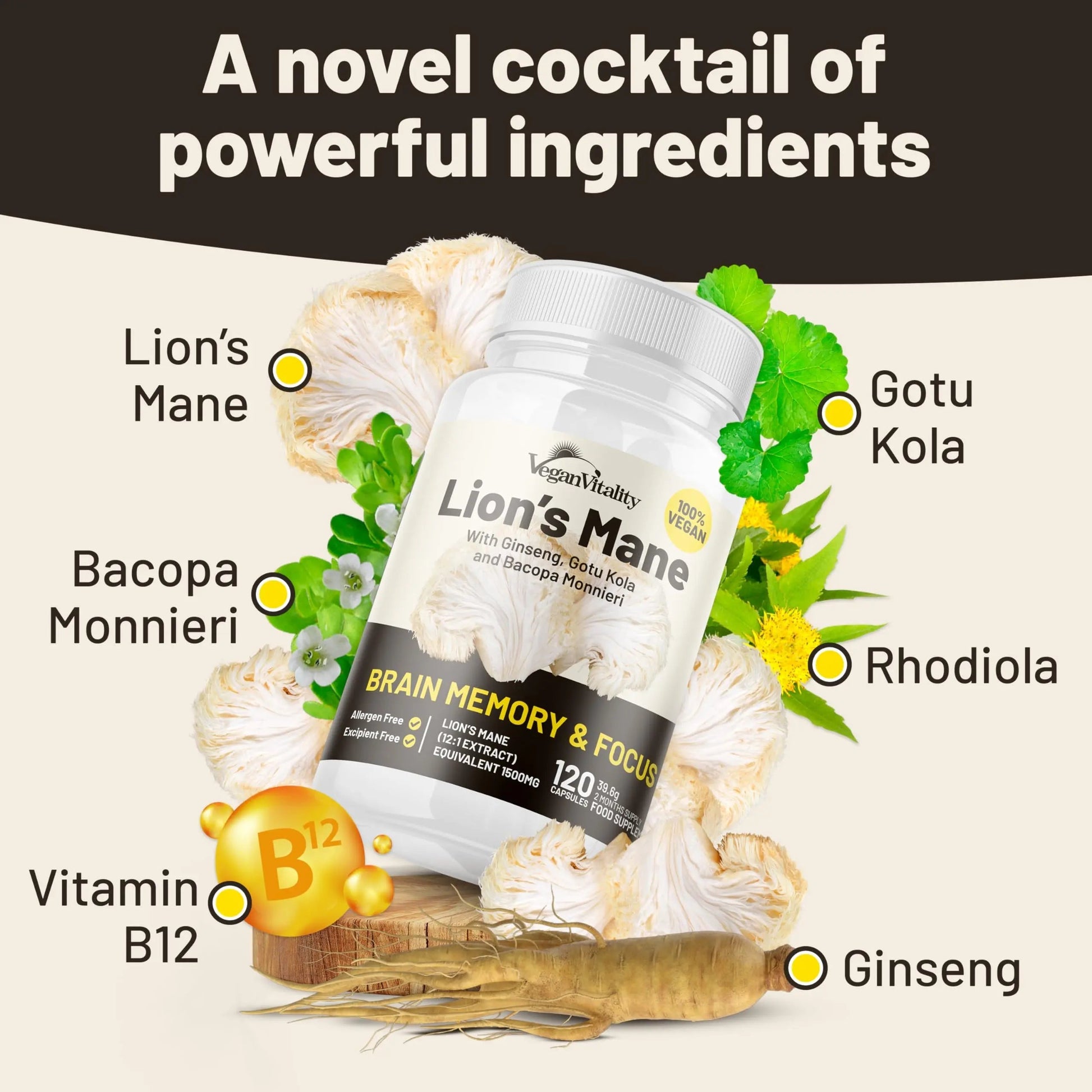 Vegan Vitality Lion's Mane x General Health Combo Bundle - 6 Months Lion's Mane and Multivitamins Vegan VitalityBuy Supplements Australia