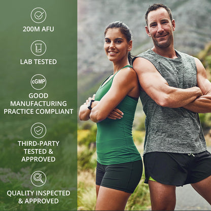 Akkermansia Probiotic to Increase GLP-1 Production. Ultra High Strength Akkermansia Muciniphila Live Strain with Prebiotic Fiber for Gut Health & Microbiome Balance. Delayed Release, 3rd Party Tested Peak PerformanceBuy Supplements Australia
