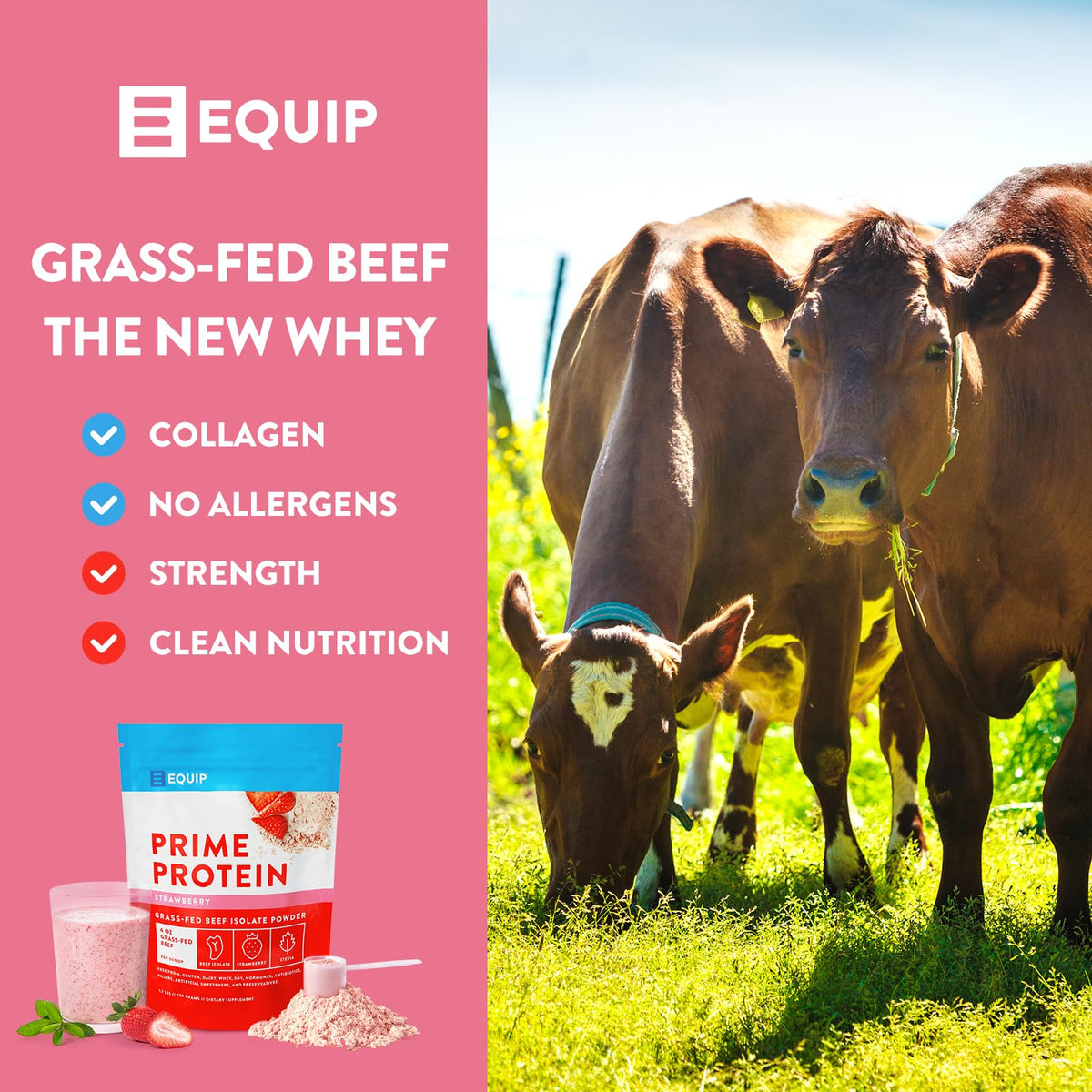 Equip Foods Prime Protein - Grass-Fed Beef Protein Powder Isolate -Paleo and Keto EquipBuy Supplements Australia