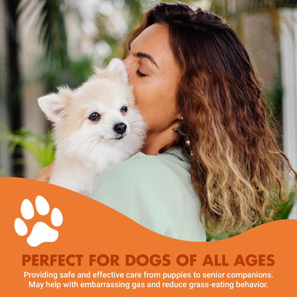 Pre & PostBiotic Support for Dogs – Digestive Upset, Stool Quality & Sensitive Stomach Support – Easy Liquid Formula for Picky Eaters LIQUID-VETBuy Supplements Australia