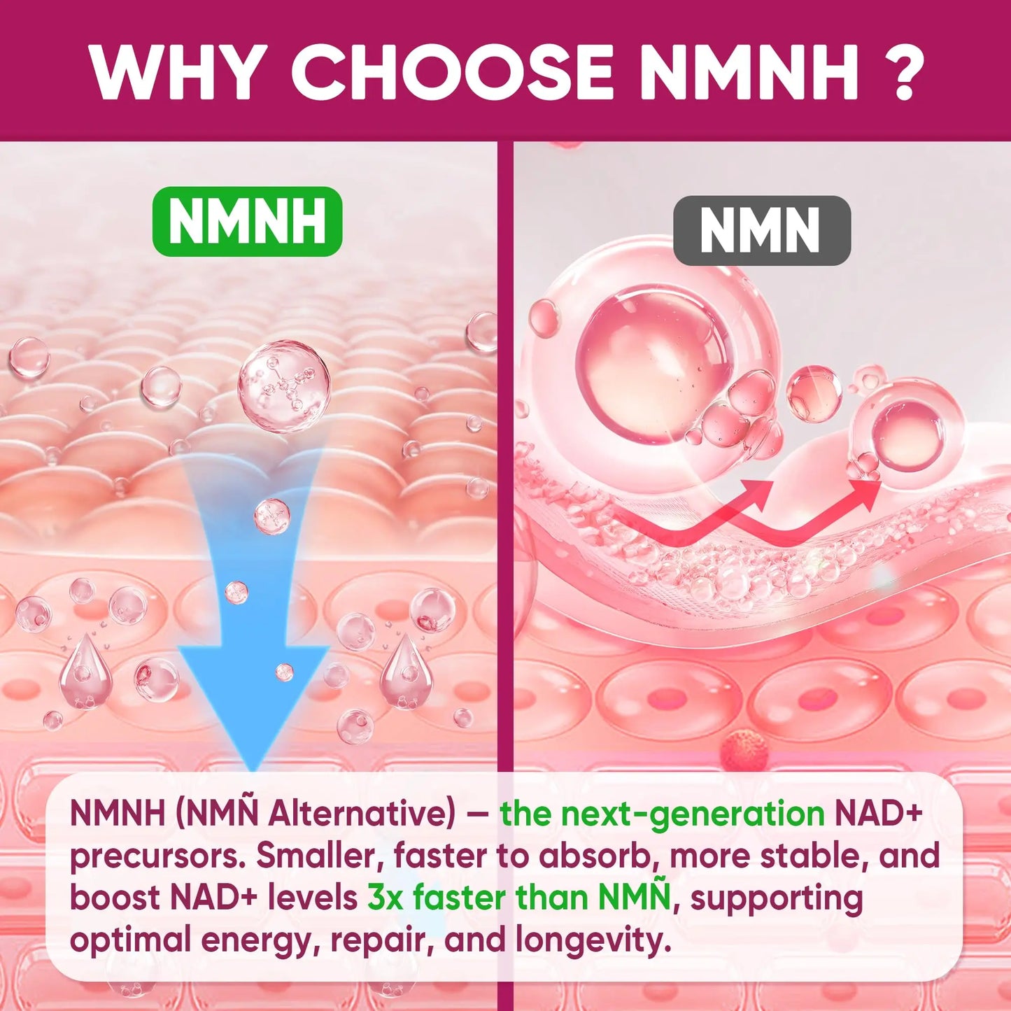 NMNH Gummies 300MG for Longevity with Urolithin A, Polyphenol Blend, Resveratrol, NAD+ Supplement for Women & Men Boost NAD+ Levels, Optimized Aging, Cell, DNA Repair, Energy, Focus, Sugar Free, 60cts NextdiaBuy Supplements Australia
