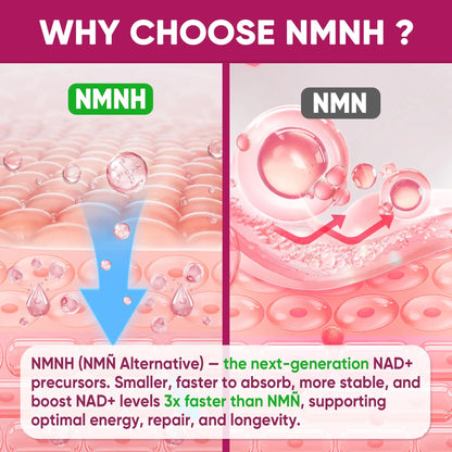 NMNH Gummies 300MG for Longevity with Urolithin A, Polyphenol Blend, Resveratrol, NAD+ Supplement for Women & Men Boost NAD+ Levels, Optimized Aging, Cell, DNA Repair, Energy, Focus, Sugar Free, 60cts NextdiaBuy Supplements Australia