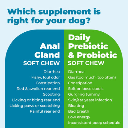 Vetnique Glandex Daily Probiotics for Dogs with Prebiotics to Support Gut Health with Fiber and Digestive Enzymes, Dog Probiotic Chews or Powders (30ct Chews, Bacon Chews) VetniqueBuy Supplements Australia