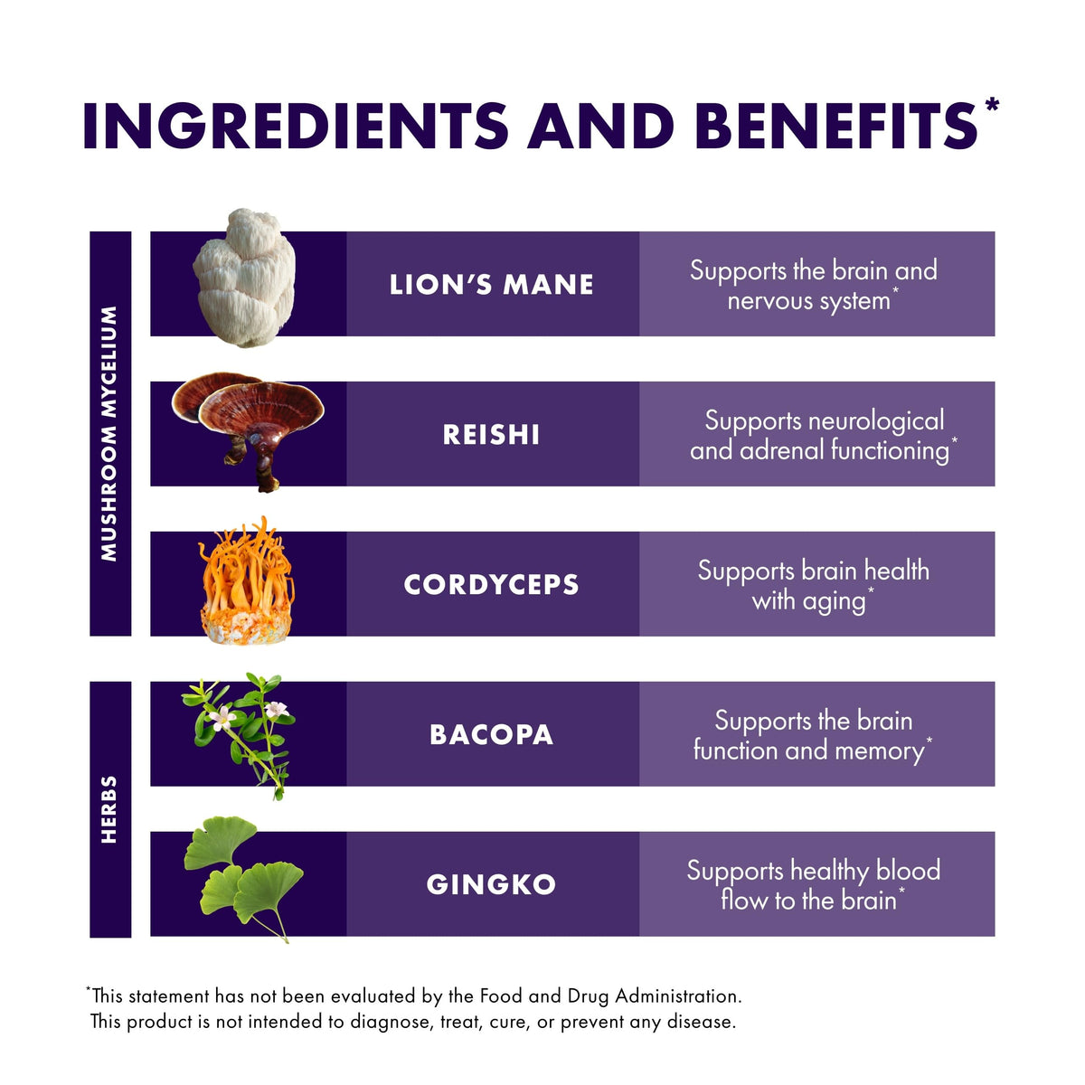 Host Defense MycoBotanicals Brain* Capsules - Brain Support Supplement with Lion's Mane, Reishi & Cordyceps Mushroom - Herbal Supplement for Memory & Focus Support - 60 Capsules Host DefenseBuy Supplements Australia