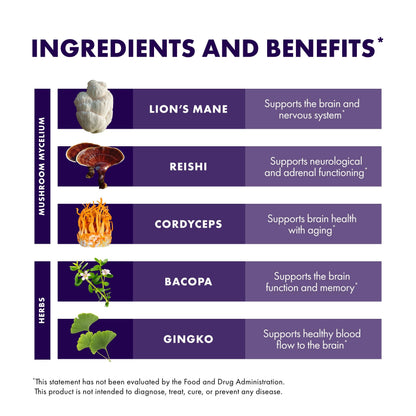 Host Defense MycoBotanicals Brain* Capsules - Brain Support Supplement with Lion's Mane, Reishi & Cordyceps Mushroom - Herbal Supplement for Memory & Focus Support - 60 Capsules Host DefenseBuy Supplements Australia