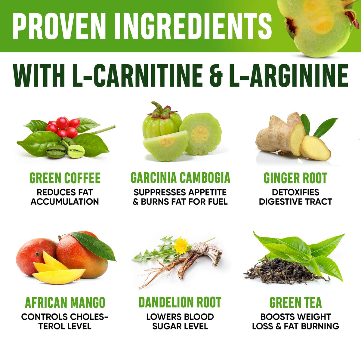 SHAPELINE Weight Loss Drops - Diet Drops 1 Fl Oz & 2 Fl Oz - Made in The USA - Appetite SHAPELINEBuy Supplements Australia