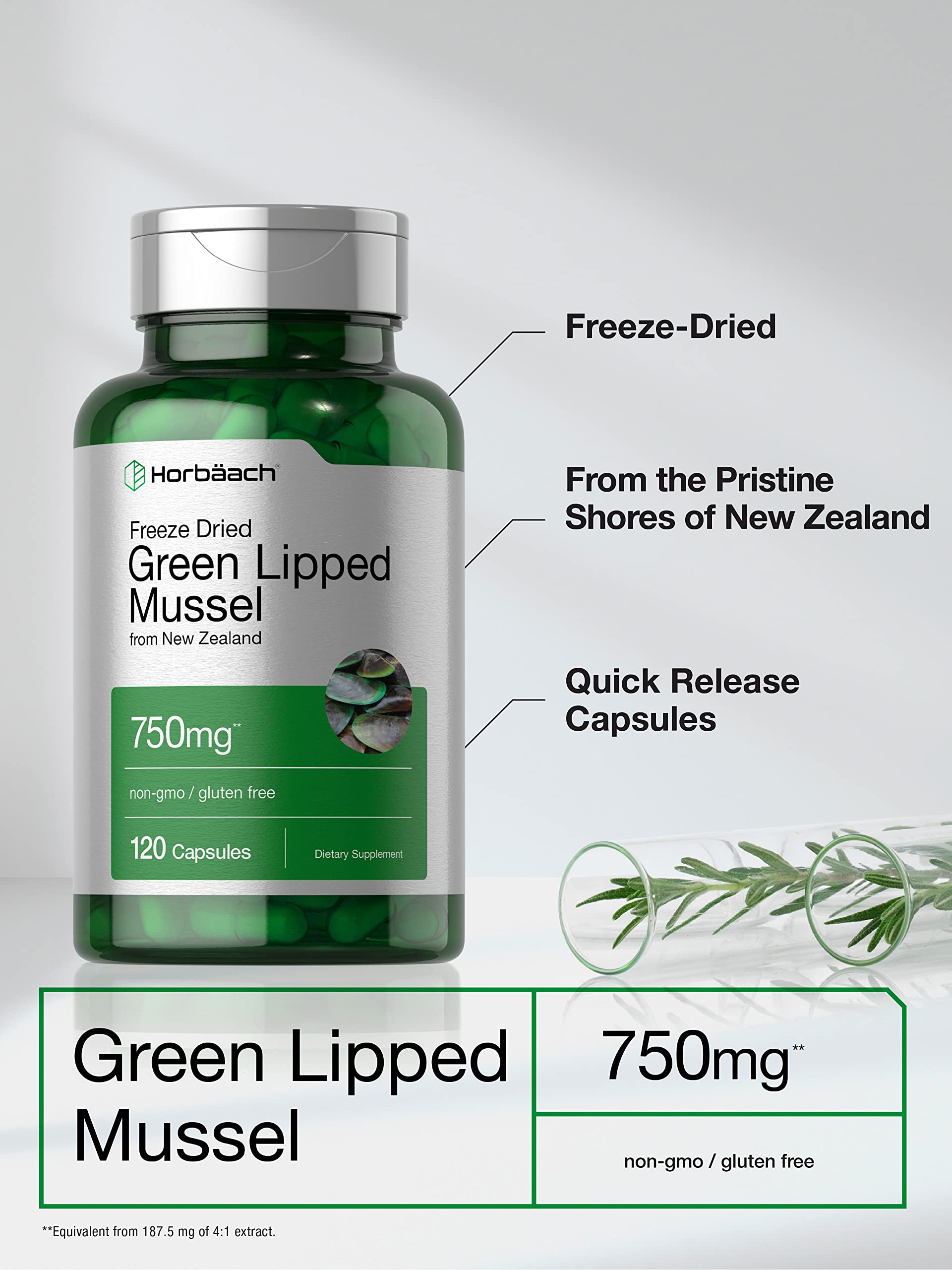 Green Lipped Mussel | 750 mg | 120 Capsules | from New Zealand | Premium Freeze Dried HorbäachBuy Supplements Australia