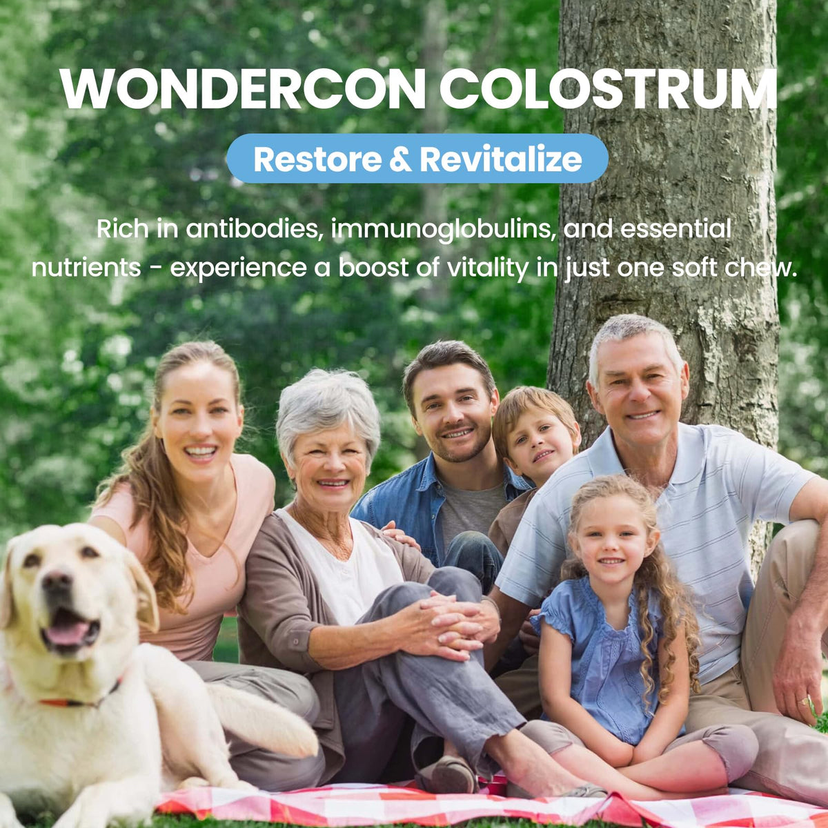 Colostrum Soft Chew Supplement (3000mg + 40% IgG), Concentrated Bovine Colostrum SEPT YANBuy Supplements Australia