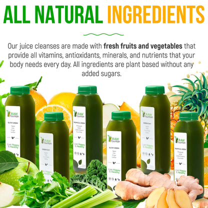 1 Day Green Juice Cleanse by Raw Fountain, All Natural Raw, Vegan Detox, Cold Pressed Raw FountainBuy Supplements Australia