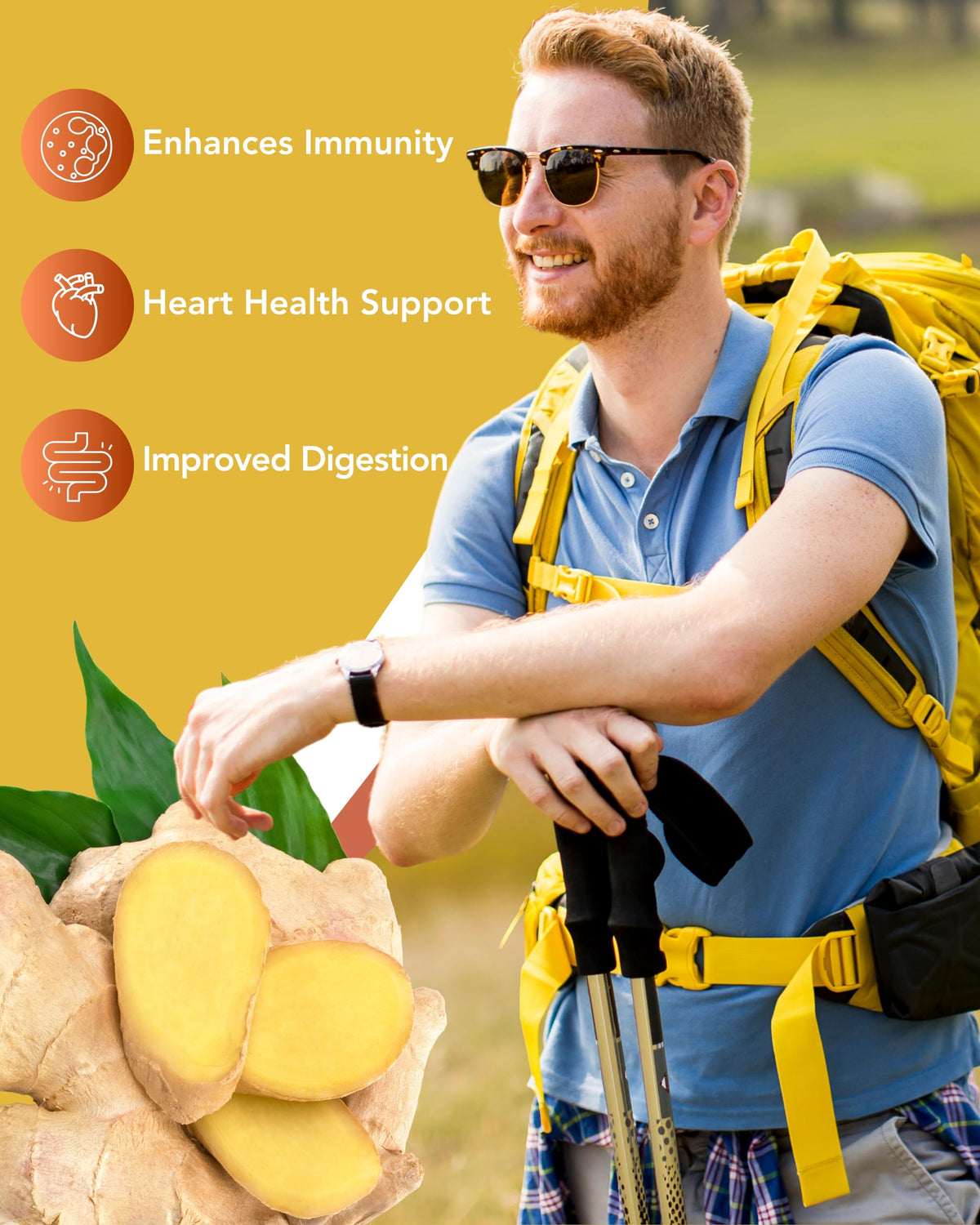 Organic Turmeric & Ginger Capsules - Turmeric Curcumin with Ginger & BioPerine, 95% Curcuminoids - Joint, Digestion, Immunity Support, Black Pepper Extract for Increased Absorption CogniTuneBuy Supplements Australia