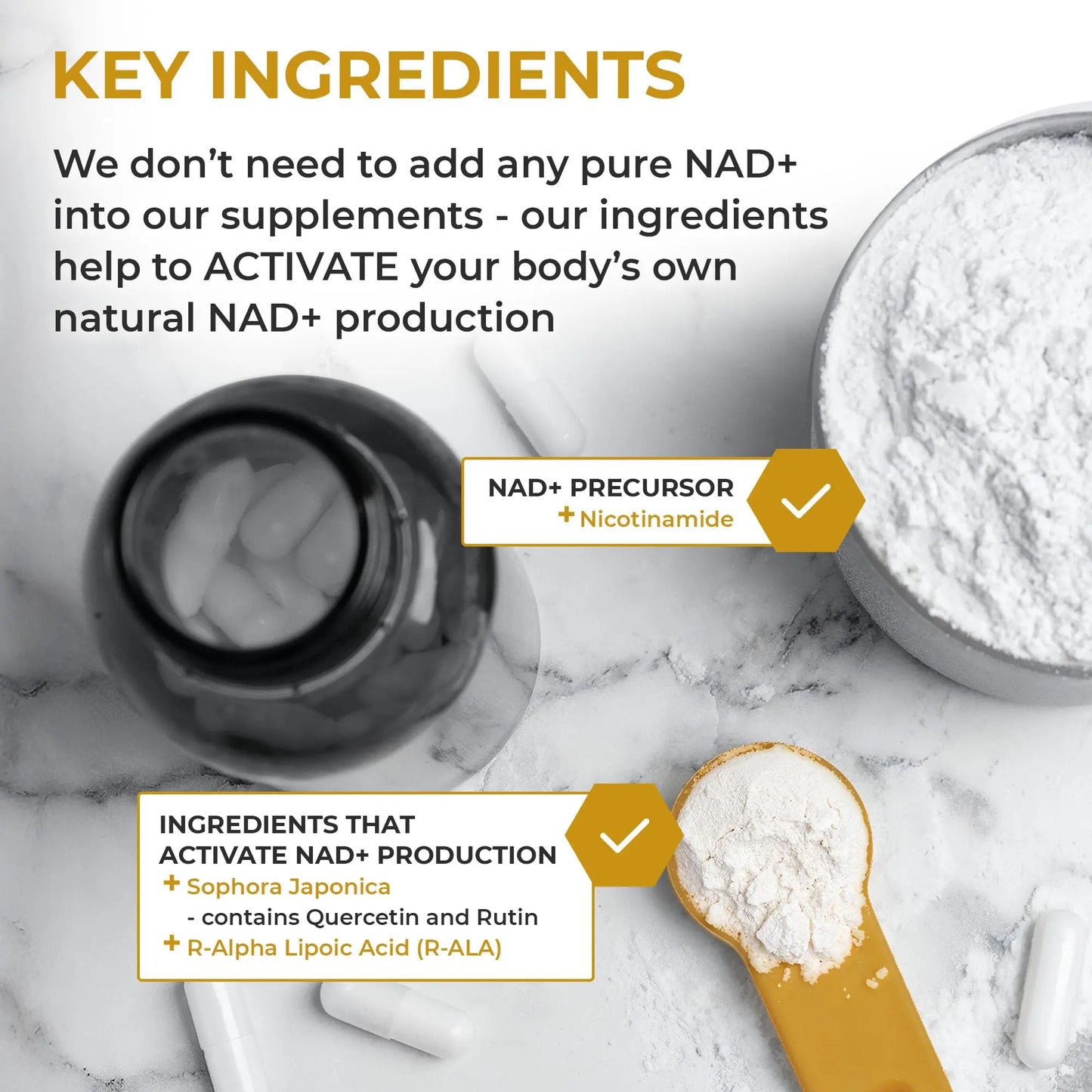 Nuchido Time+ NAD Supplement for Men & Women - Advanced Formula for Healthy Aging, Energy, Focus, Cellular Health & Longevity - Nicotinamide, Alpha Lipoic Acid, Quercetin - 90 Capsules Nuchido Time+Buy Supplements Australia