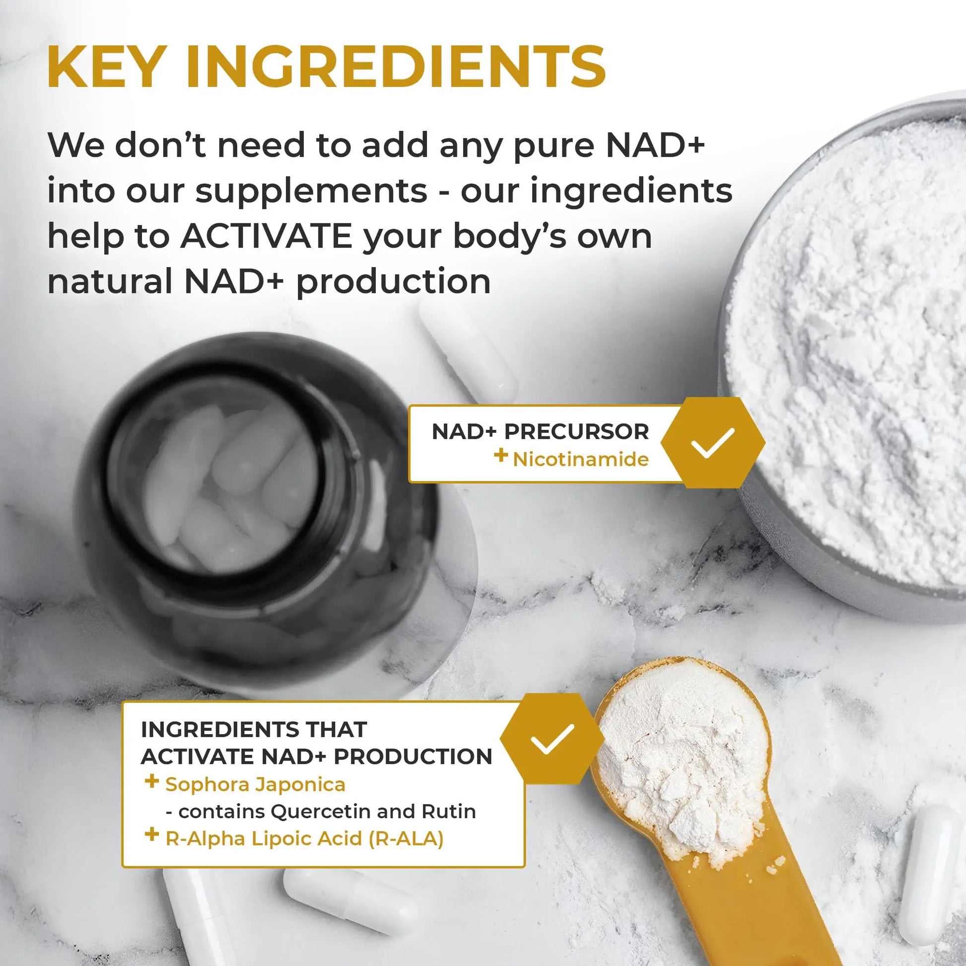 Nuchido Time+ NAD Supplement for Men & Women - Advanced Formula for Healthy Aging, Energy, Focus, Cellular Health & Longevity - Nicotinamide, Alpha Lipoic Acid, Quercetin - 90 Capsules Nuchido Time+Buy Supplements Australia