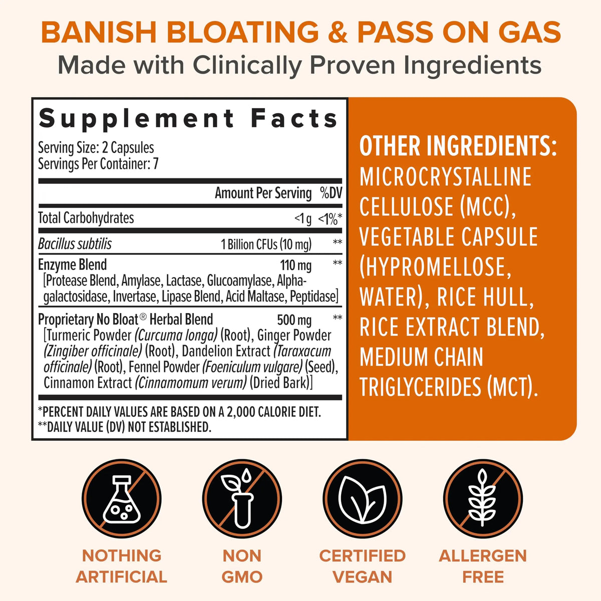 Zenwise Health No Bloat Probiotics for Women and Men Digestive Health with Ginger, Dandelion, and Lactase, Digestive Enzymes for Gas and Bloating Relief - Vegan Water Retention Pills - 14 CT Zenwise HealthBuy Supplements Australia