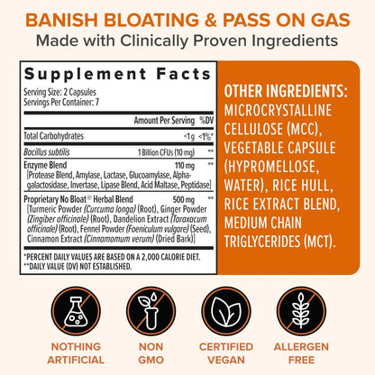 Zenwise Health No Bloat Probiotics for Women and Men Digestive Health with Ginger, Dandelion, and Lactase, Digestive Enzymes for Gas and Bloating Relief - Vegan Water Retention Pills - 14 CT Zenwise HealthBuy Supplements Australia