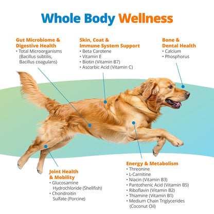 5Strands Dog Multivitamin Chews, 10-in-1, Vitamins & Postbiotics, All Ages & Breeds - Digestion, Brain, Organs, Heart, Mobility, Vision, Skin & Coat, Immunity - Dog Supplement (Peanut Butter, 90ct) 5StrandsBuy Supplements Australia