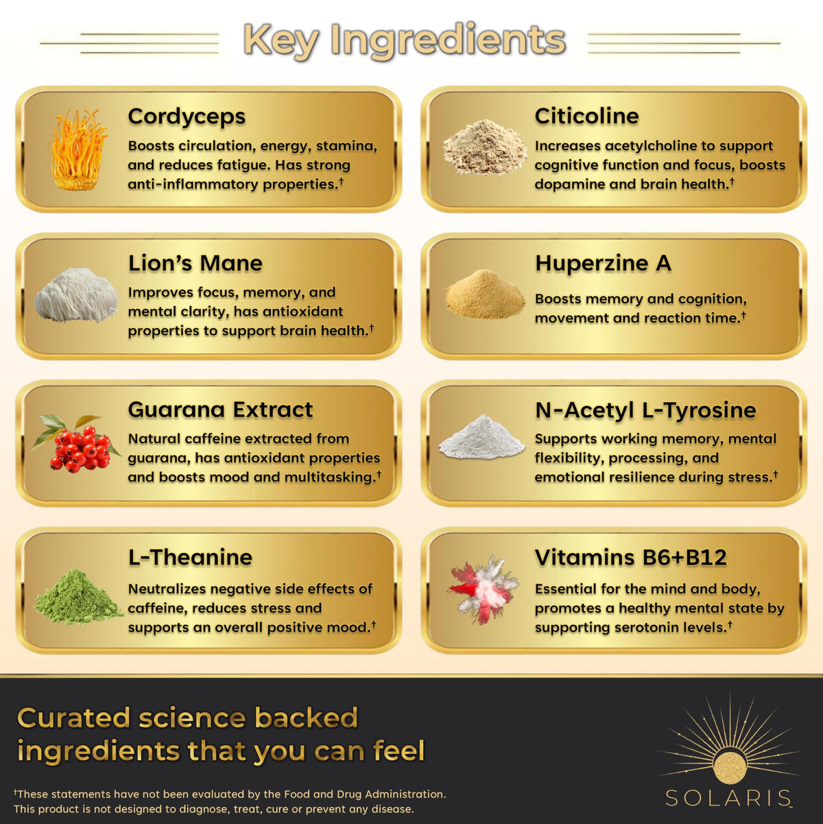 Solaris Mushroom Productivity Wellness Shots | Focus, Circulation, Memory | 4000mg of Cordyceps & Lion's Mane | Citicoline, L-Theanine, Vitamin B6/B12 | Coffee Alternative (6-Pack) Solaris ExtractsBuy Supplements Australia