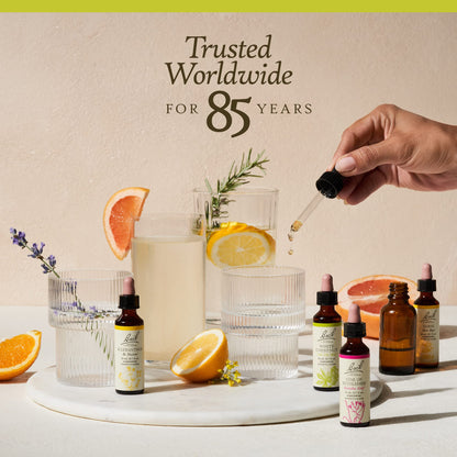 Bach Original Flower Remedies, Honeysuckle for Embracing The Now (Non-Alcohol Formula) BachBuy Supplements Australia