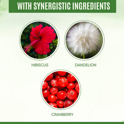 YEVANI 100% Pure D-Mannose Capsules 1000 mg with Cranberry, Hibiscus, and Dandelion Extract, Fast Acting Professional UTI Prevention Formula for Urinary Tract Health and Bladder Support YEVANIBuy Supplements Australia