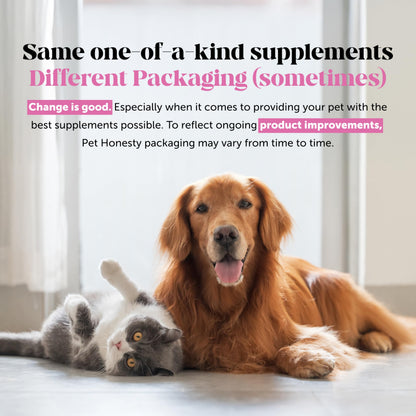 Hemp Hip & Joint Supplement for Dogs - Hemp Oil & Powder - Glucosamine Chondroitin for Dogs, Turmeric, MSM, Green-Lipped Mussel, Supports Mobility, May Reduce Discomfort (Bacon) Pet HonestyBuy Supplements Australia