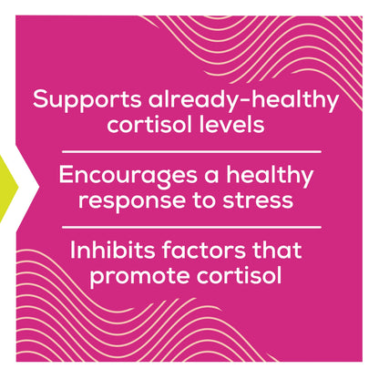 Cortisol Supplements for Women with Ashwagandha, Rhodiola & L-Theanine | Cortisol Reducer Designed for High Stress, Fatigue & Mood Swings | Supports Hormone Balance & Steady Energy | 60 Capsules Terramed Just Think ComfortBuy Supplements Australia