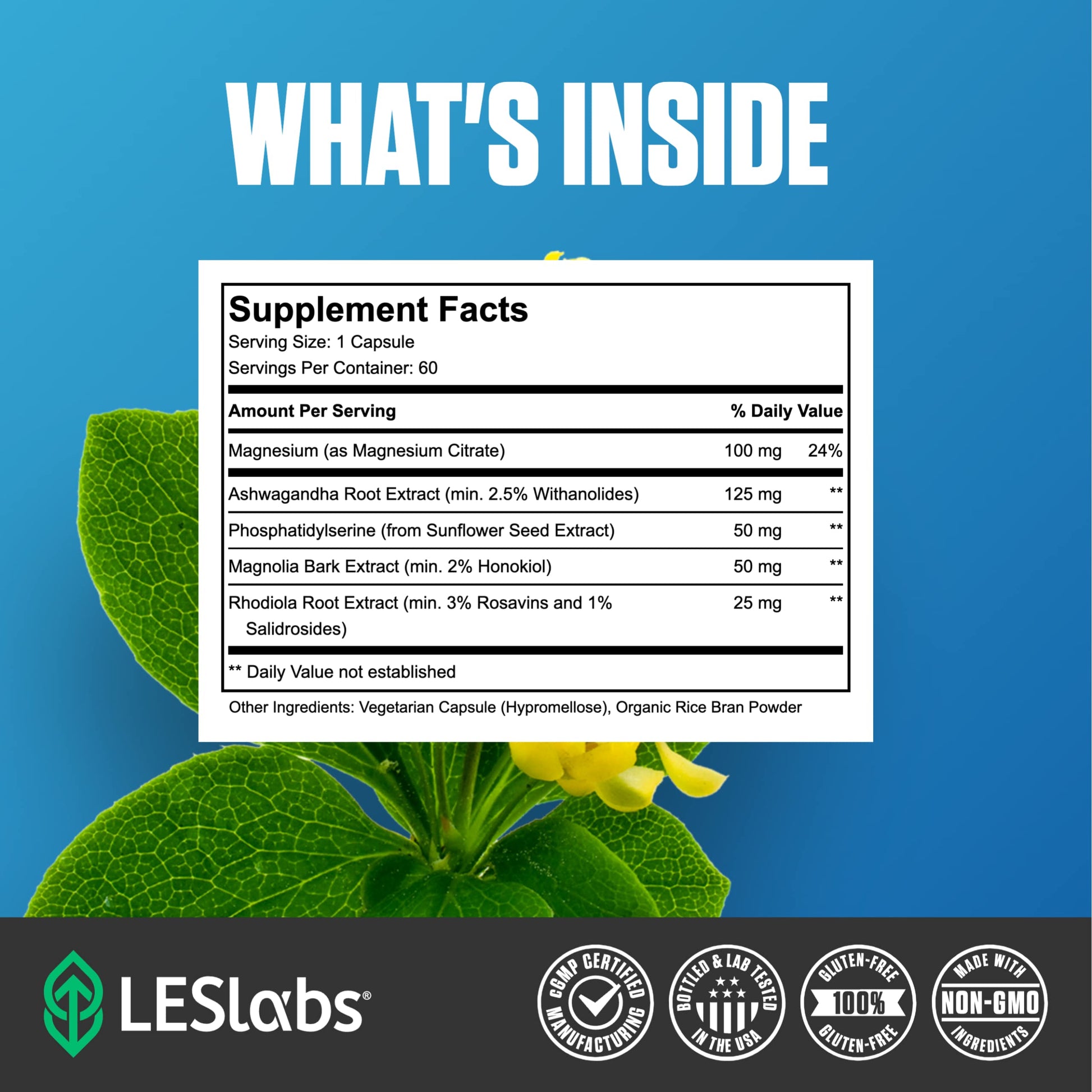 LES Labs Cortisol Health – Stress Relief, Balanced Cortisol Response, Relaxation & Deep Sleep – Phosphatidylserine, Magnesium, Magnolia Bark, Rhodiola Rosea & Ashwagandha – Non-GMO – 60 Capsules LES LabsBuy Supplements Australia