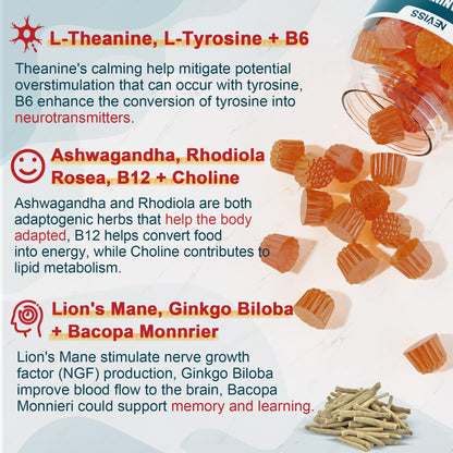 11-IN-1 Brain Supplement for Memory and Focus with L-Tyrosine L-Theanine, Methylated B12 & B6, Lion's Mane Mushroom, Ginkgo Biloba, Bacopa Monnieri, Choline for Focus, Nootropic, Energy, 2Packs NEVISSBuy Supplements Australia