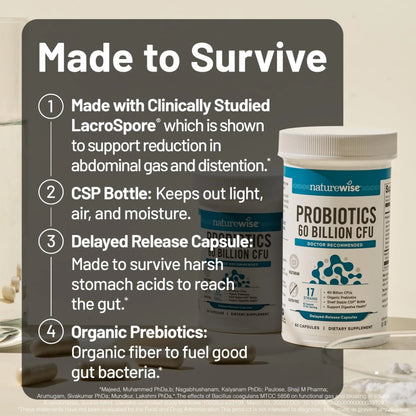 NatureWise Probiotics 60 Billion CFU - 17 Strains + Organic Prebiotics - Immune, Digestive & Gut Health Support for Women & Men - Vegetarian, Gluten-Free, Non-GMO - 30 Capsules[1-Month Supply] NatureWiseBuy Supplements Australia