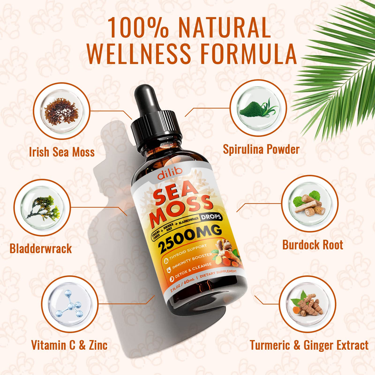 Sea Moss Liquid Drops: Organic Irish Sea Moss 2500mg with Turmeric, Bladderwrack dilibBuy Supplements Australia