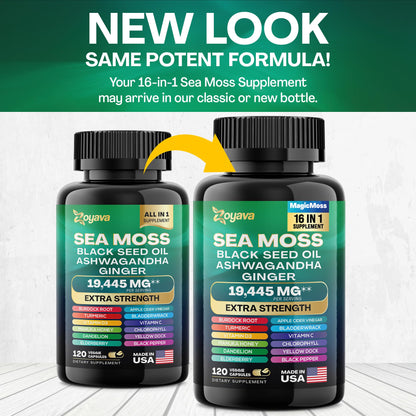 Zoyava Sea Moss 7000mg Black Seed Oil 4000mg Ashwagandha 2000mg Turmeric ZoyavaBuy Supplements Australia