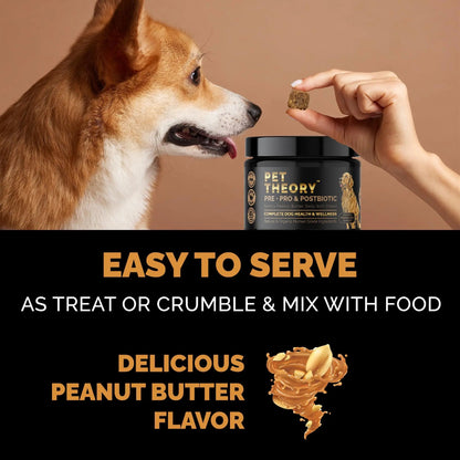 Pet Theory Probiotics for Dogs. Dog Digestive Health-Pre Pro and Postbiotic Combination-Pet Supplements for Gut Health-Supports Digestion, Boost Immunity-100CT Soft Chews Pet TheoryBuy Supplements Australia